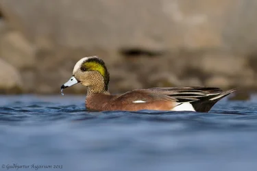 $IMG_6882-9-1.webp