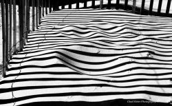 $Dune Fence shadows.jpg