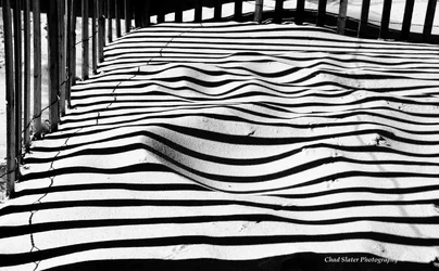 $Dune Fence shadows.webp