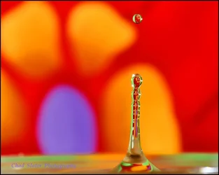 $Jerry Garcia Water Drop.webp