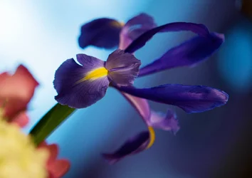 $_DSC0594.webp