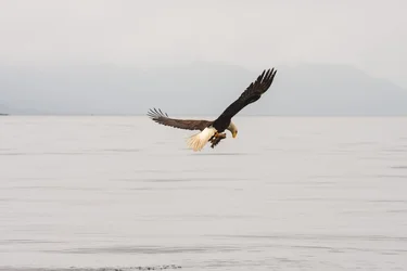 $_MG_1479-Edit-Edit 3.webp $_MG_1479-Edit-Edit 3.webp