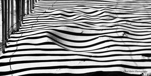 $Dune Fence shadows_.webp