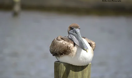 $_DSC0144.webp $_DSC0144.webp