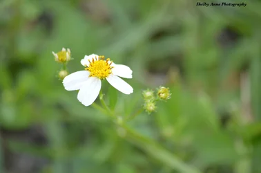$_DSC0092.webp