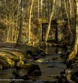 $massabesic stream-7538.webp