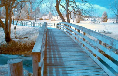 $untitled-31-Edit.webp