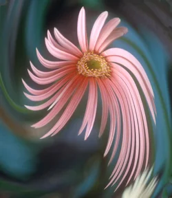 $untitled-97-Edit.webp