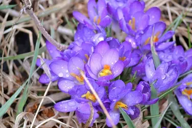 $rsz_dsc_0124.webp