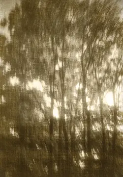 $untitled-53.webp