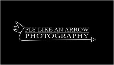 $FlyLikeAnArrow.jpg