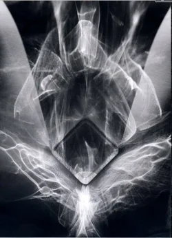 $Refraction Shadogram-inverted (Mobile).webp