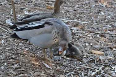 $DSC_4354 _resized.webp $DSC_4354 _resized.webp