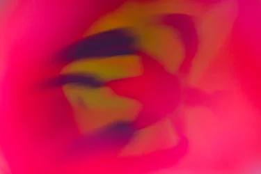 $IMG_5541 copy.webp