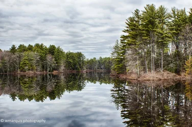 $hdr_reflections (1 of 1).webp