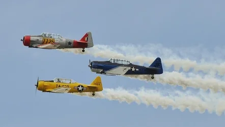 $_DSC0494 (800x453).webp