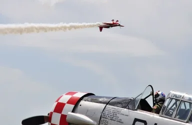 $_DSC0517 (800x522).webp