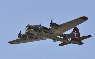 $_DSC0574 (800x499).webp