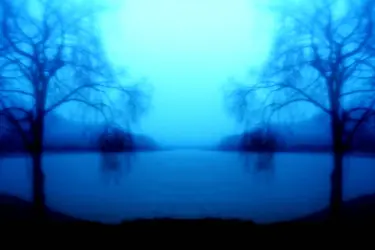 $Twin Island copy.webp