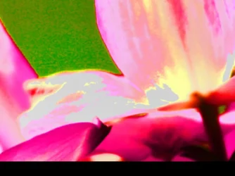 $ImageUploadedByTapatalk HD1366850487.290899.webp