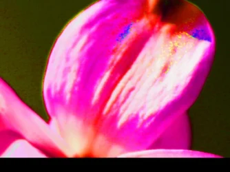 $ImageUploadedByTapatalk HD1366850500.841423.webp