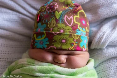 $sumo baby-cc.webp