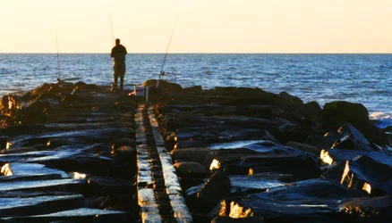 $Fisherman.webp