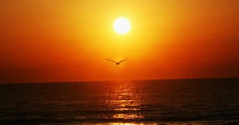 $Sunrise 1.webp