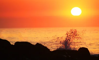 $Sunrise Splash.webp