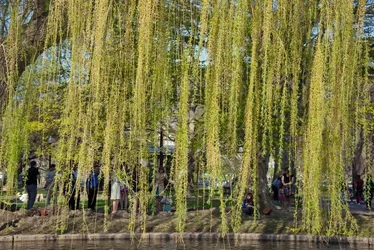 $publicgarden_0064_edited-1.webp
