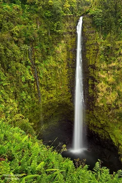 $Akaka Falls.webp