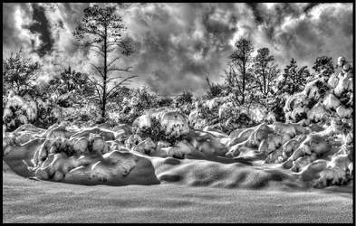 $Christmas 2010 136_tonemapped.webp