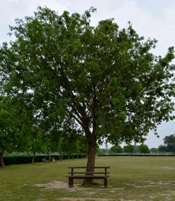 $DSC_0355 (696x800).webp