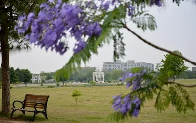 $DSC_0401 (800x502).webp