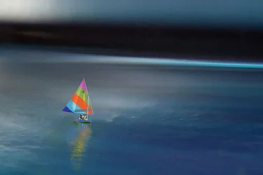 $sunfish.webp