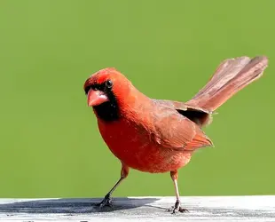 $_DSC0041.webp $_DSC0041.webp