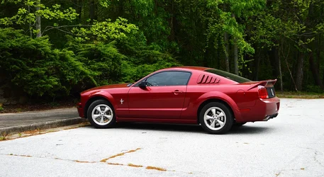 $Mustang.webp