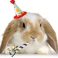 $cutebunbday.webp