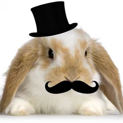 $cutebunman.webp