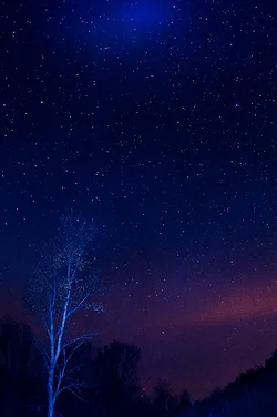 $night sky normal.webp $night sky normal.webp