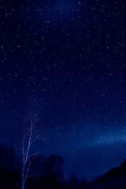 $night sky 2.webp $night sky 2.webp