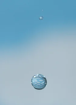 $IMG_2589.webp
