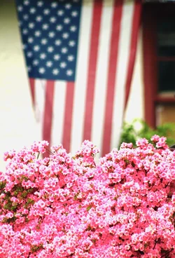 $Flowers Flag.webp