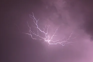 $IMG_7236 - Copy (2).webp