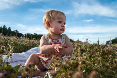 $DSC_0259sm-2.webp $DSC_0259sm-2.webp