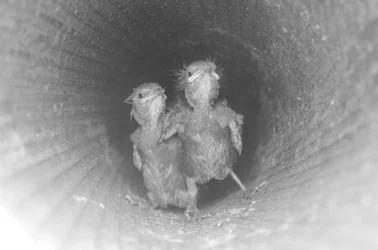 $134.webp