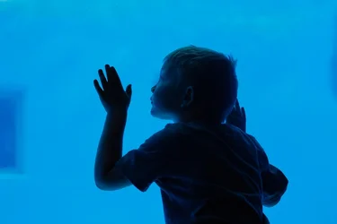 $brookfield zoo-9.webp