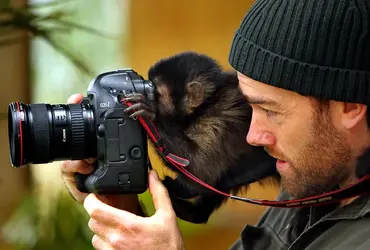 $monkey-camera_1669480i.webp