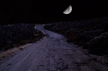 $moon night.webp