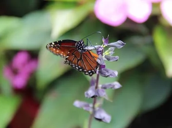 $IMG_1312.webp $IMG_1312.webp